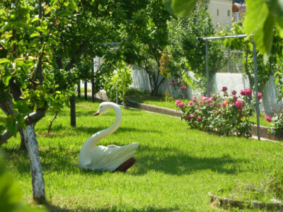 Hotel Margarita Beach Garden